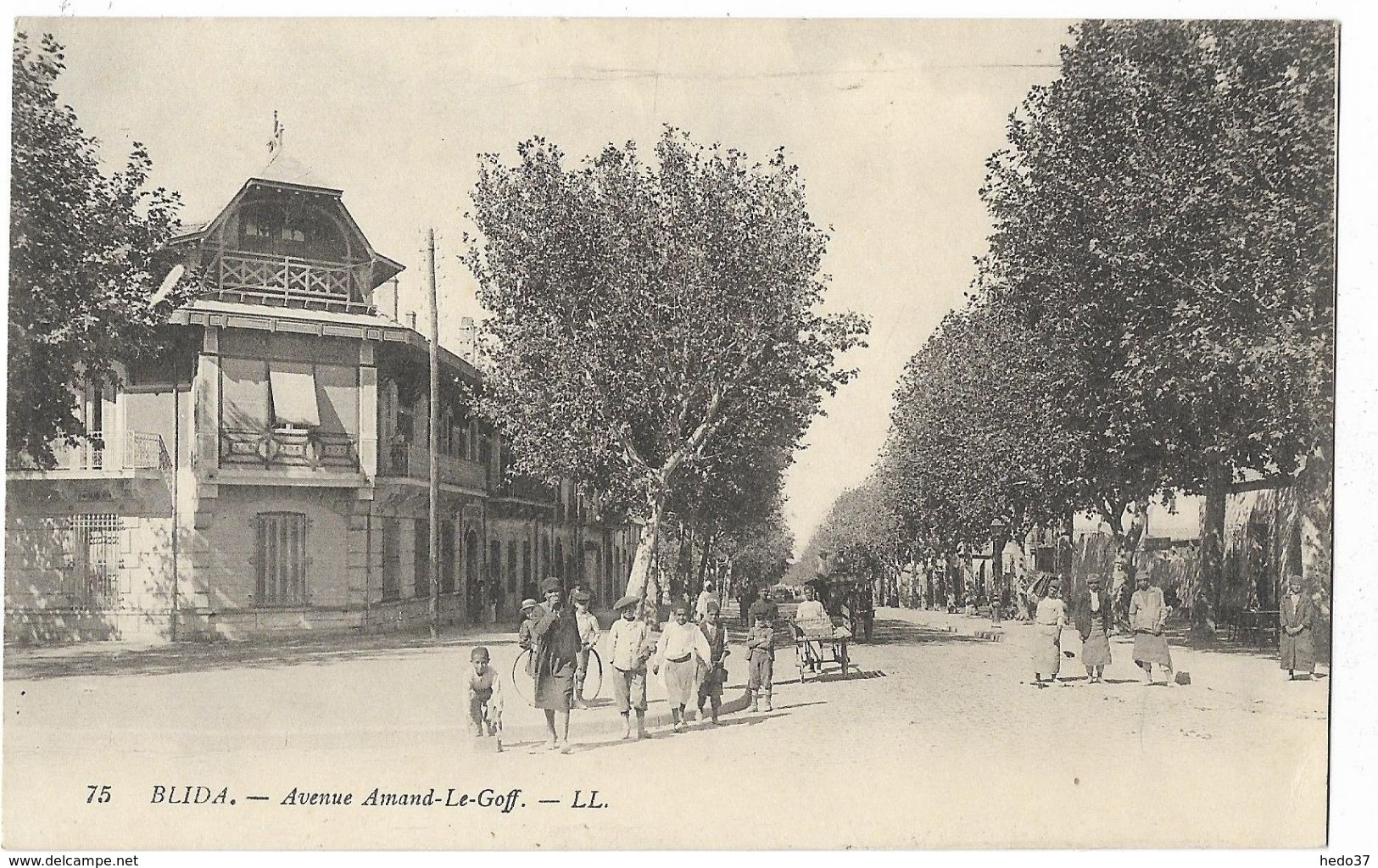 Blida - Avenue Amand-le-Goff