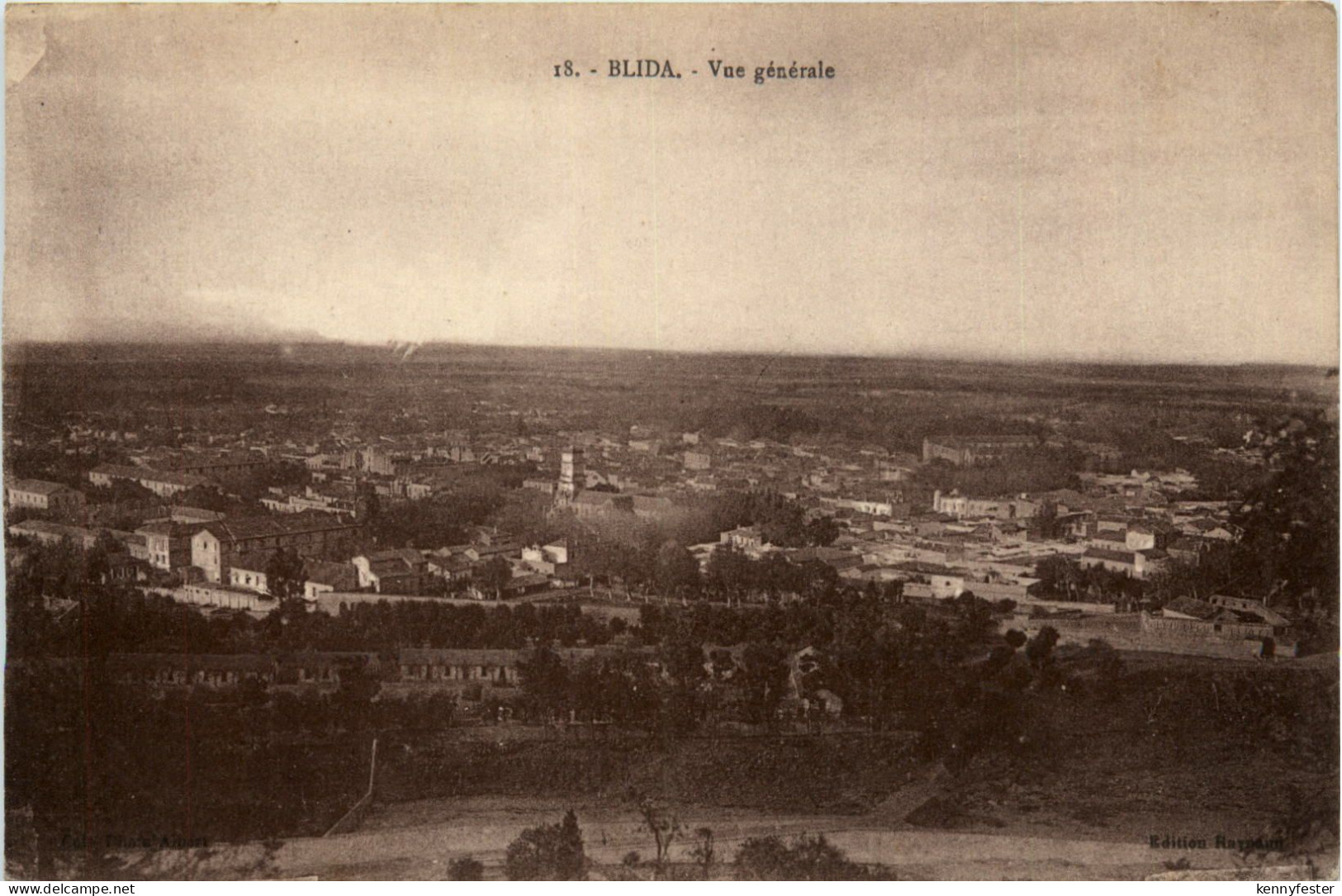 Blida, Vue generale