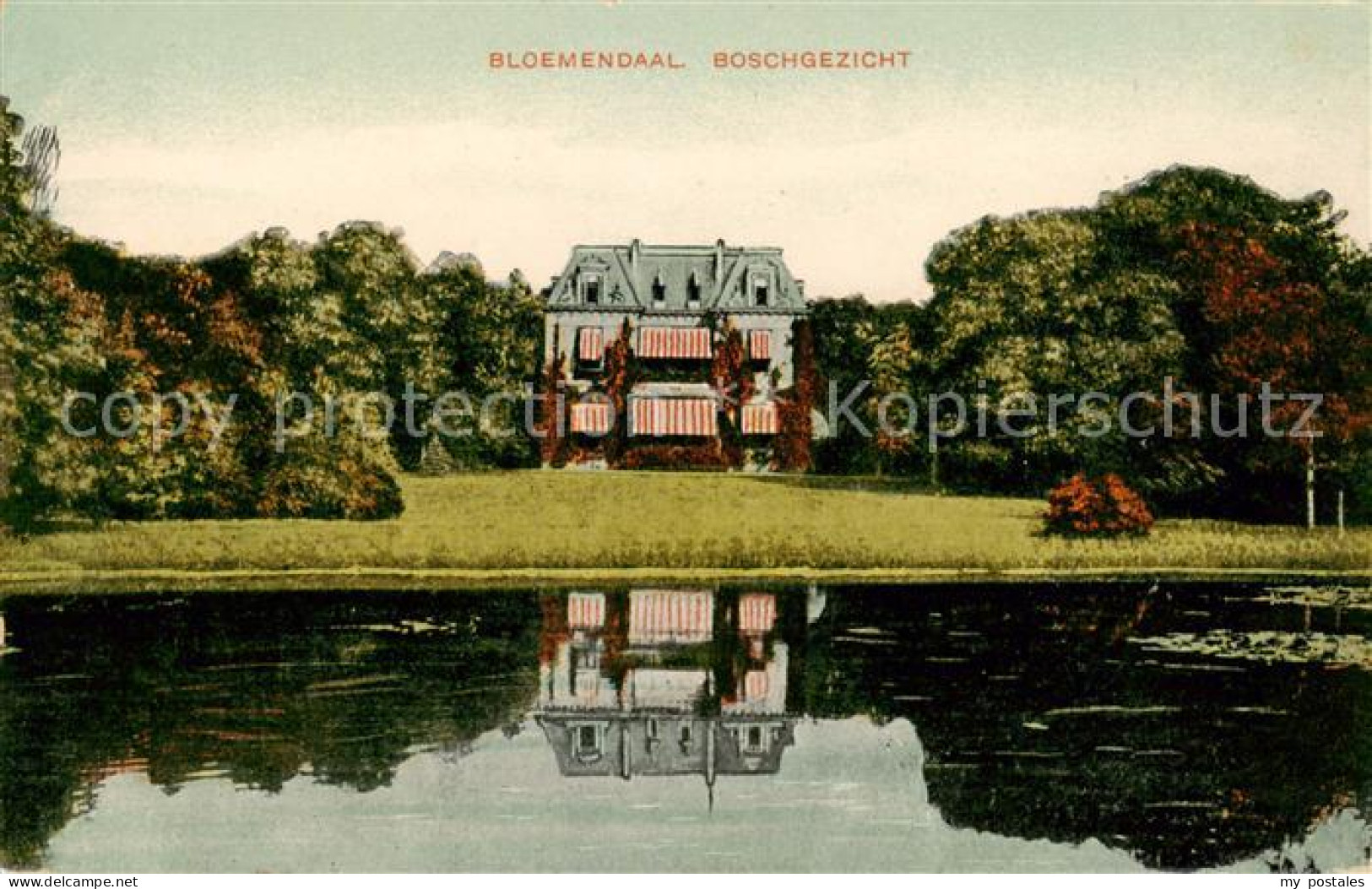 Bloemendaal aan Zee Boschgezicht