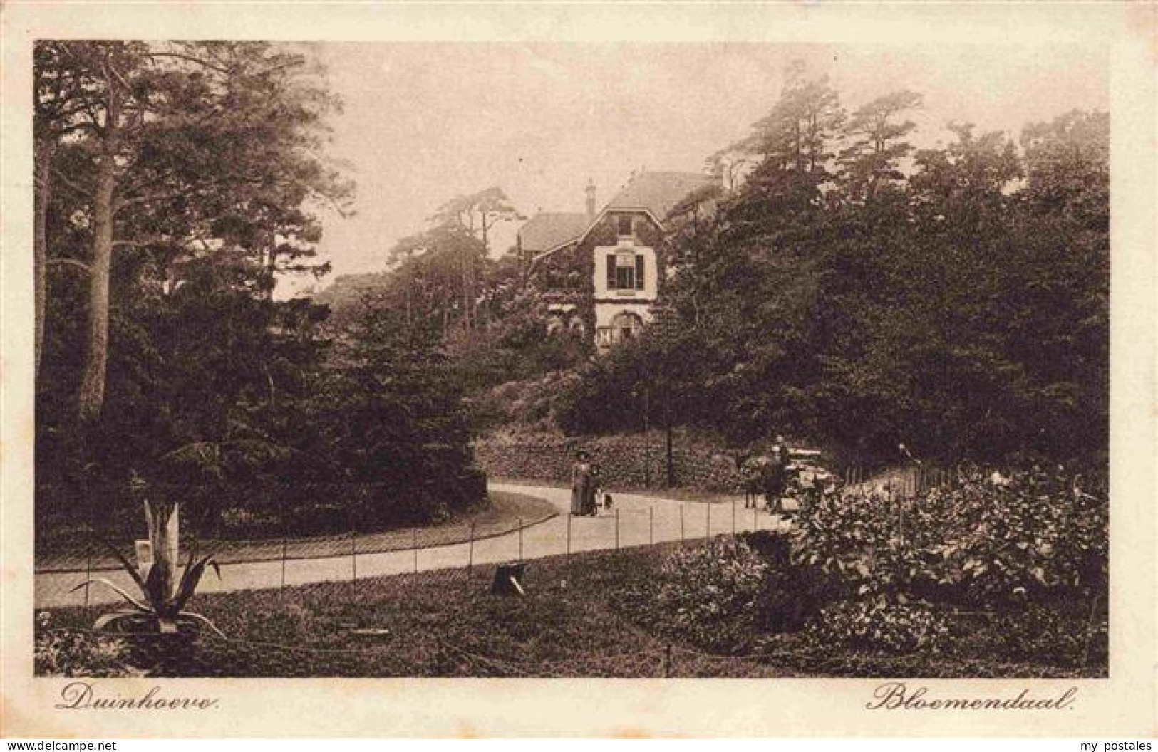 Bloemendaal aan Zee NL Duinhoeve