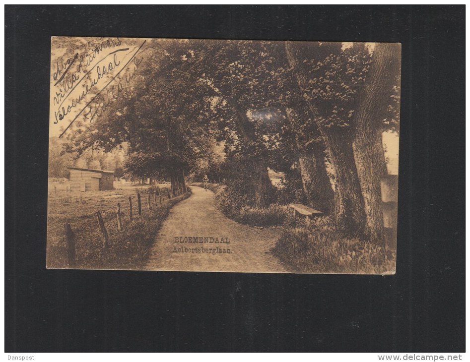 Bloemendaal Aelbertsberglaan 1930