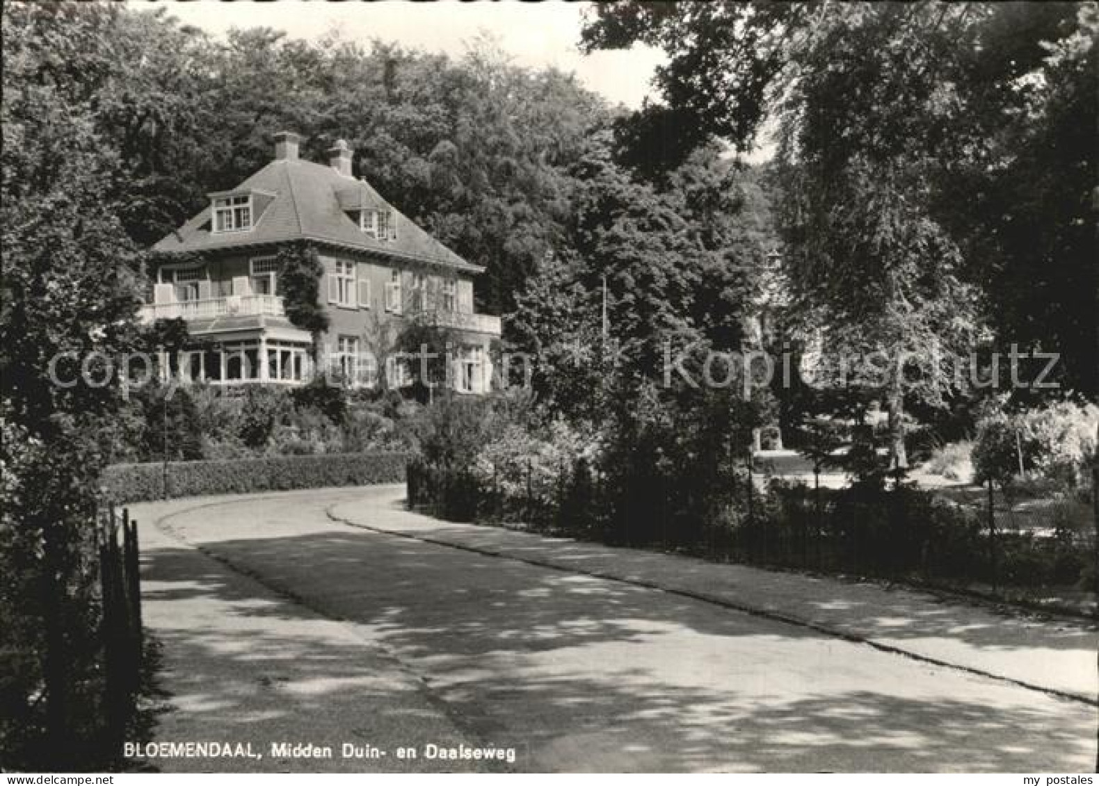 Bloemendaal Midden Duin en Daalseweg