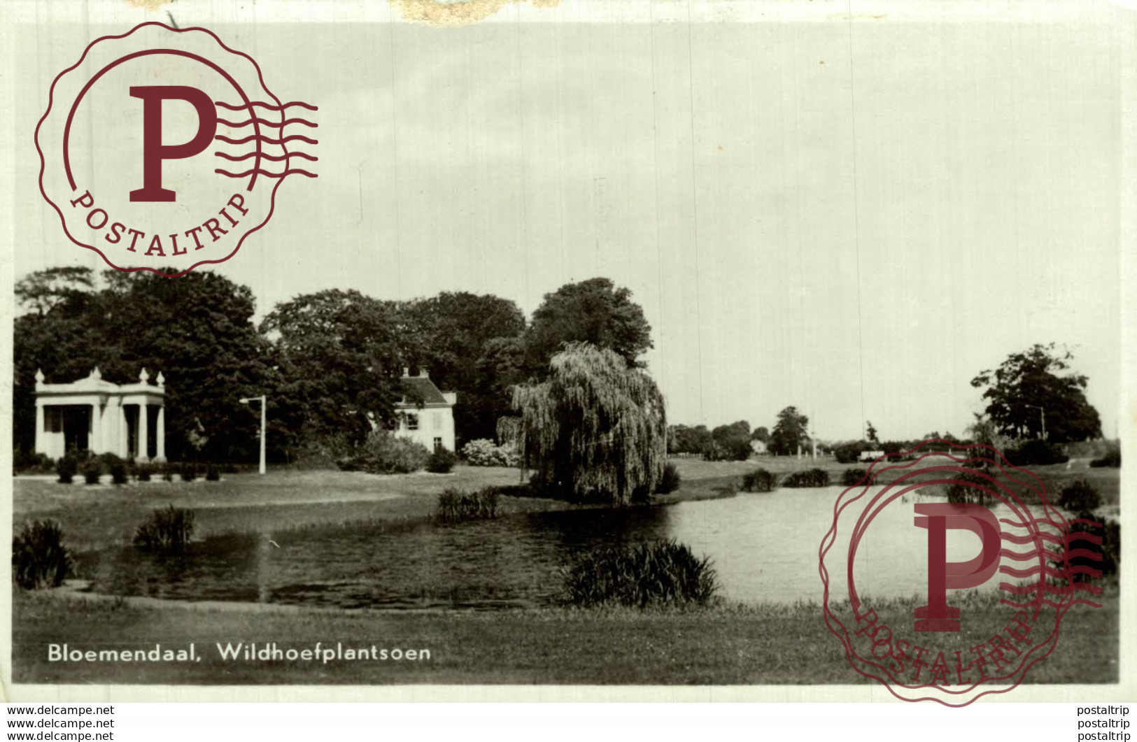 BLOEMENDAAL WILDHOEFPLANTSOEN