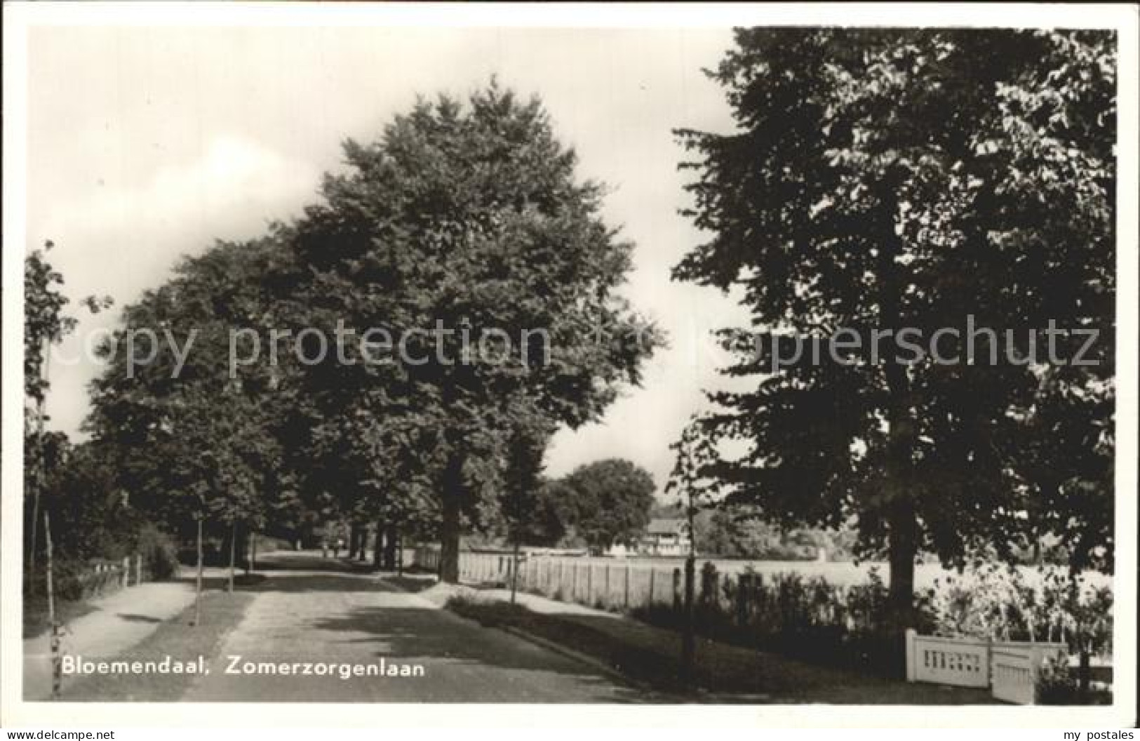 Bloemendaal Zomerzorgenlaan