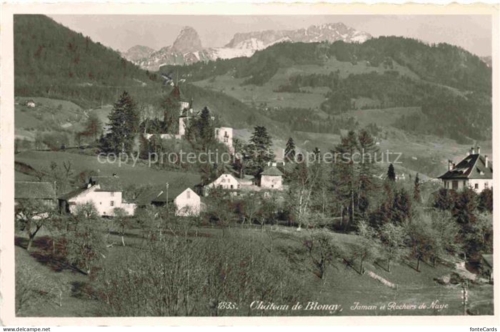 Blonay-Saint-Legier Blonay-sur-Vevey VD Chateau de Blonay Jaman et Rochers de Na