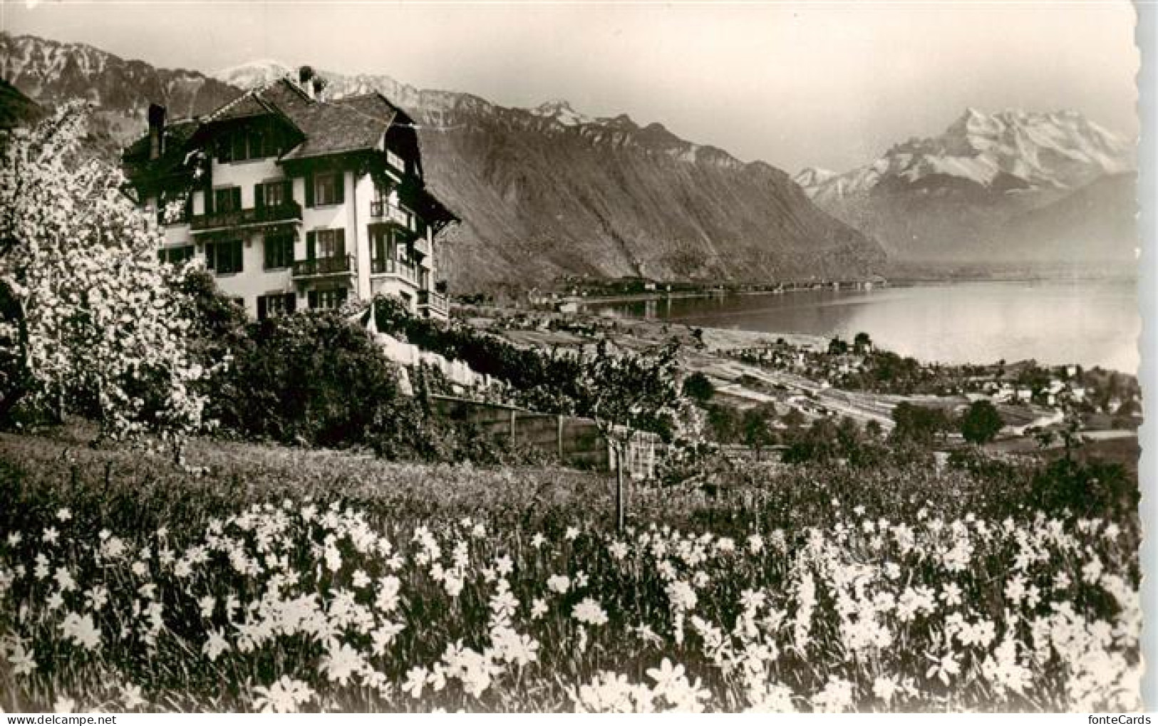 Blonay-sur-Vevey Blonay-Saint-Legier VD Hôtel de Blonay Lac Léman et les Alpes
