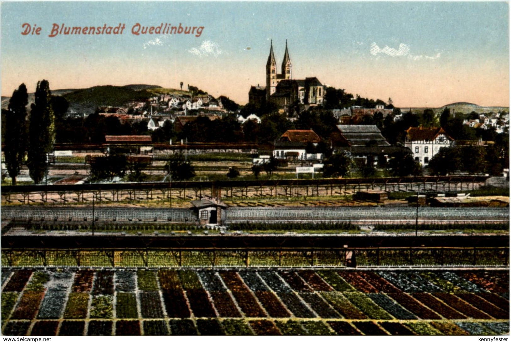 Blumenstdt Quedlinburg