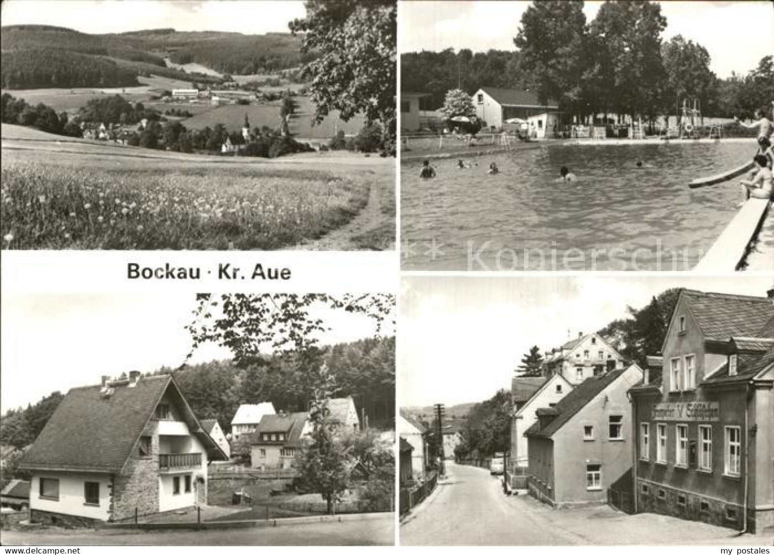 Bockau Erzgebirgskreis Panorama Schwimmbad Dorfpartie