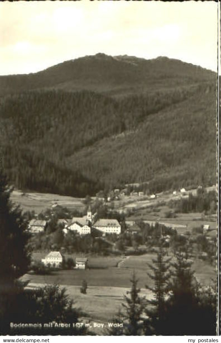 Bodenmais Regen Bayern Bodenmais