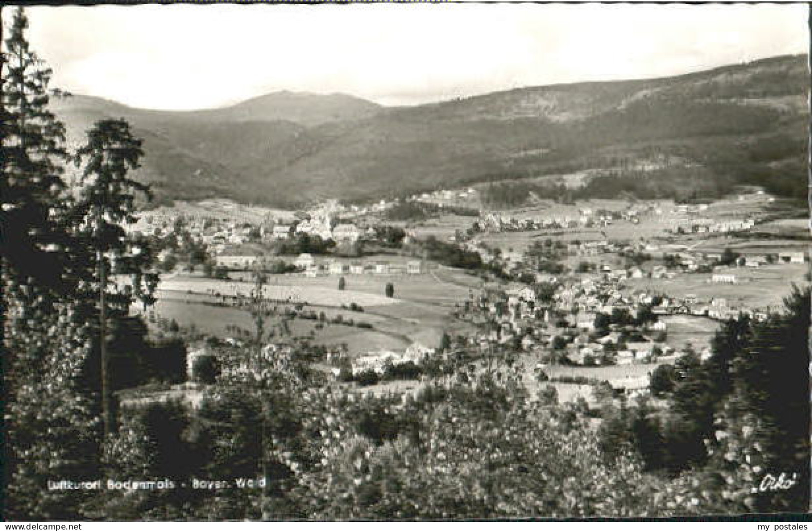 Bodenmais Regen Bayern Bodenmais