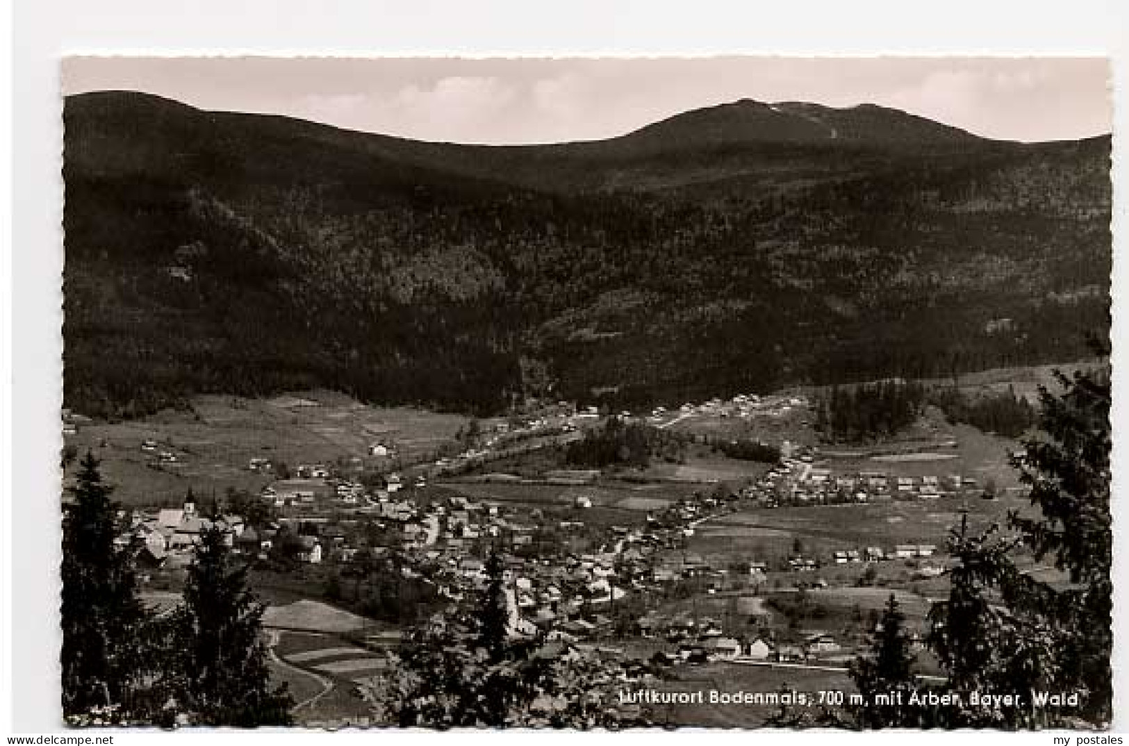 Bodenmais Regen Bayern Bodenmais