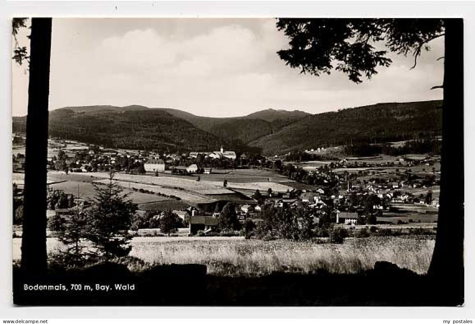 Bodenmais Regen Bayern Bodenmais