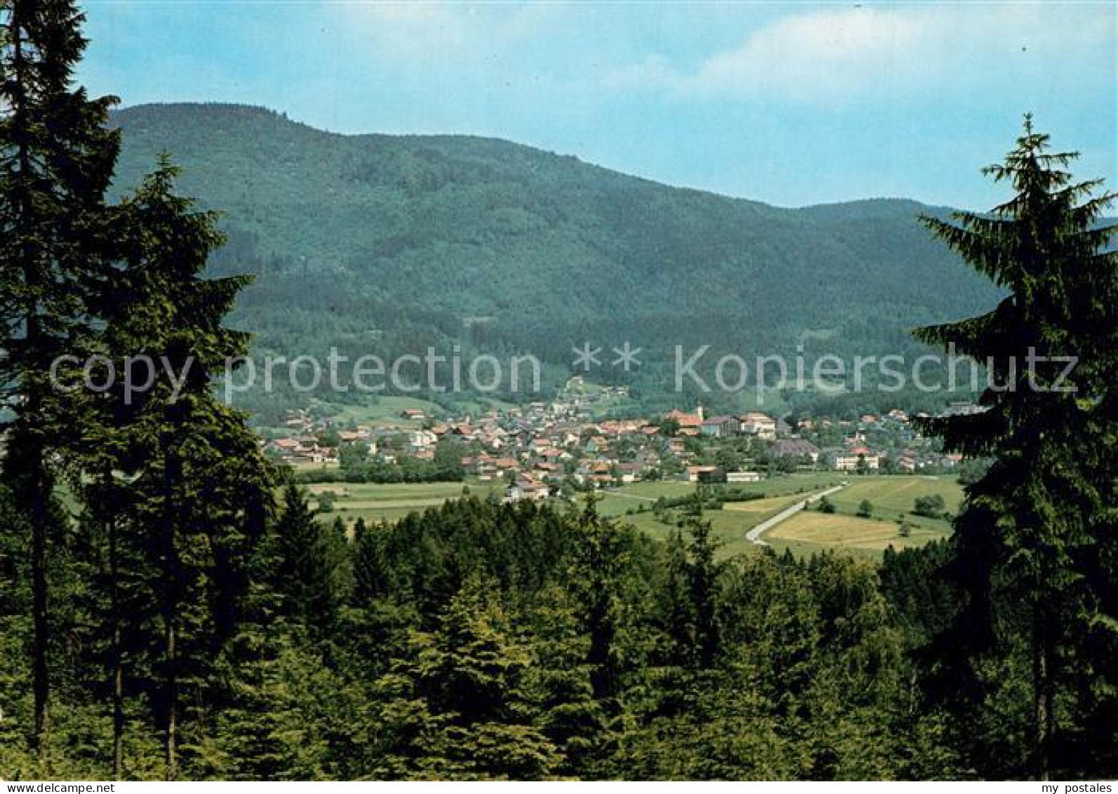 Bodenmais Regen Bayern Panorama