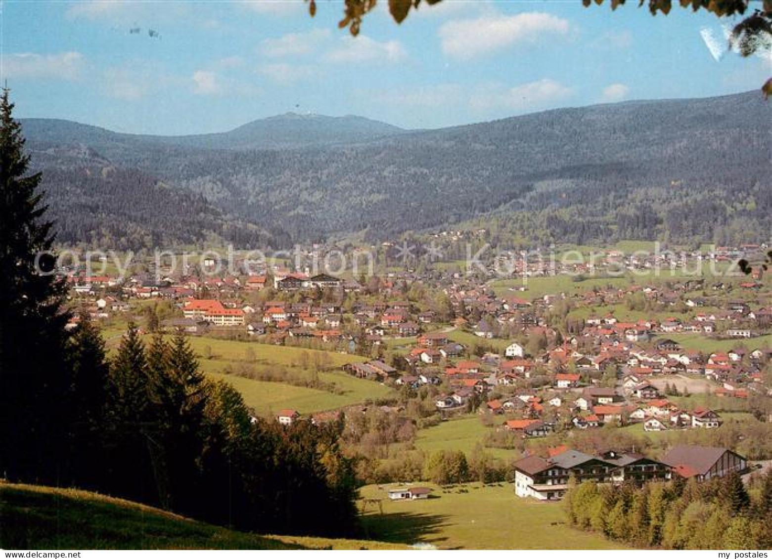 Bodenmais Regen Bayern Panorama