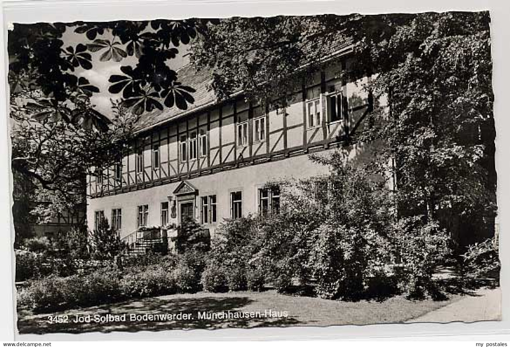 Bodenwerder Bodenwerder