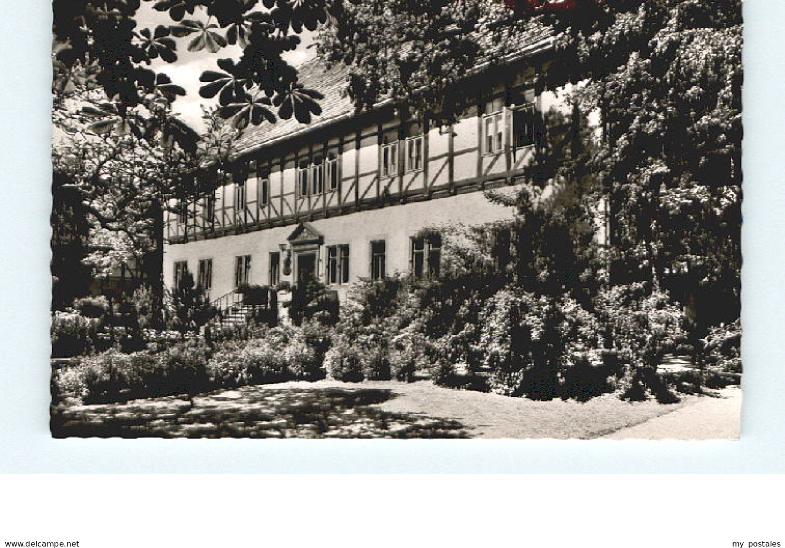 Bodenwerder Bodenwerder