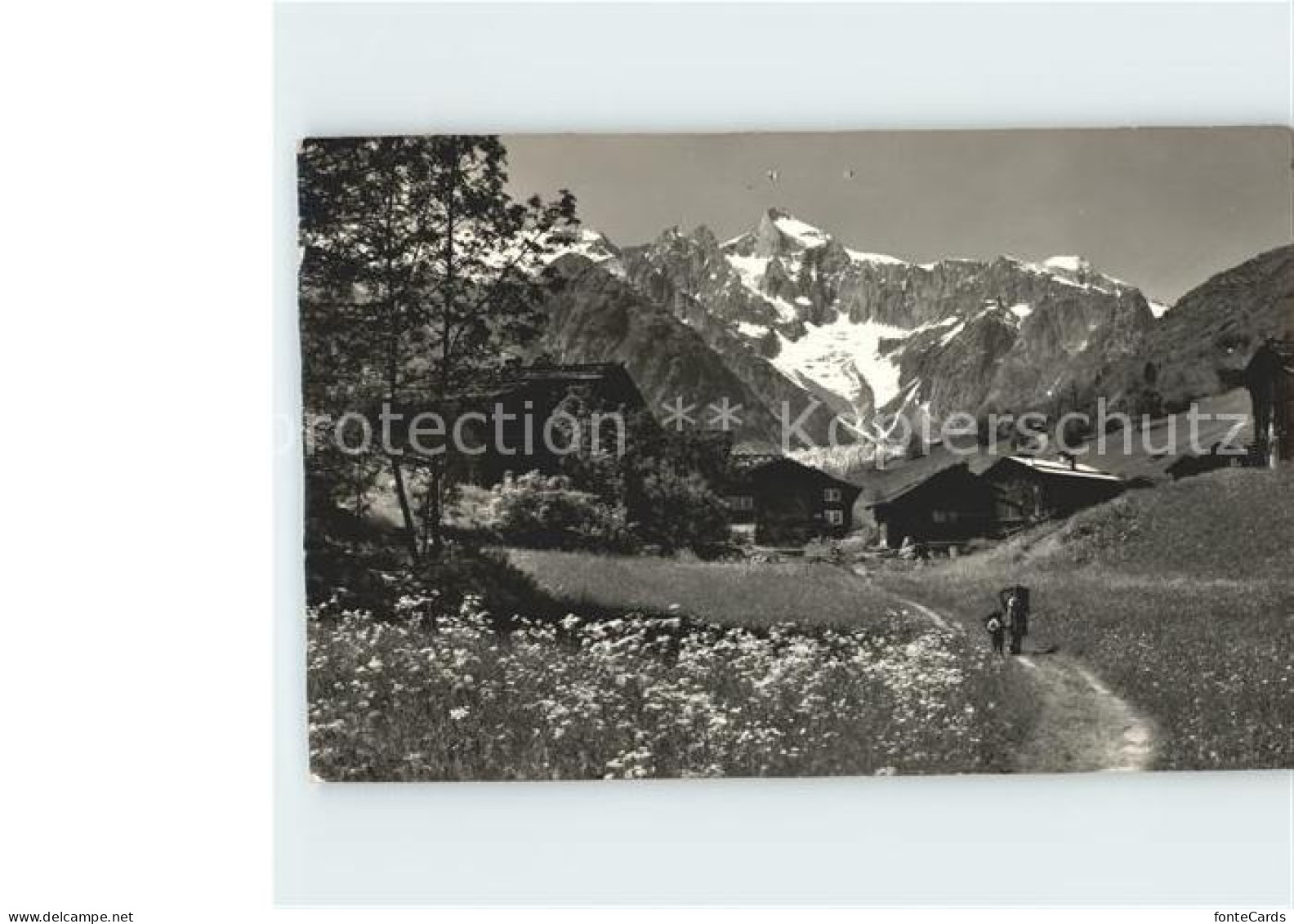 Bodmen Fieschertal Wannenhorn