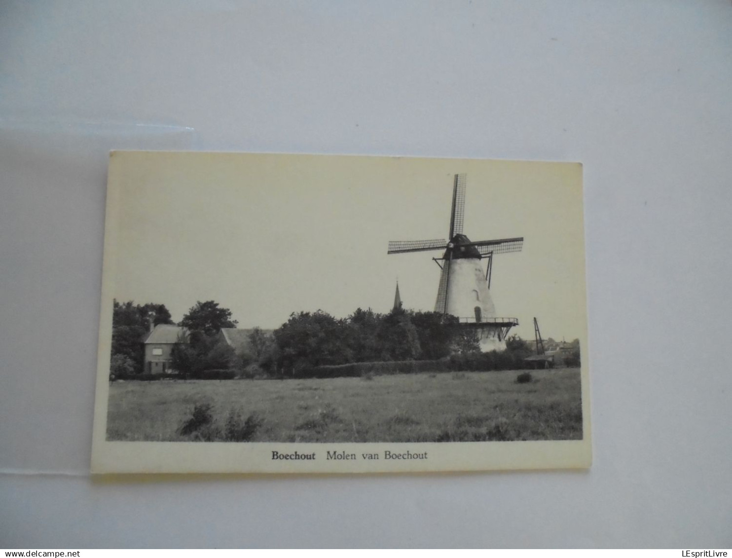 BOECHOUT Molen Van Boechout  Moulin Carte postale PK Post Kaart Card