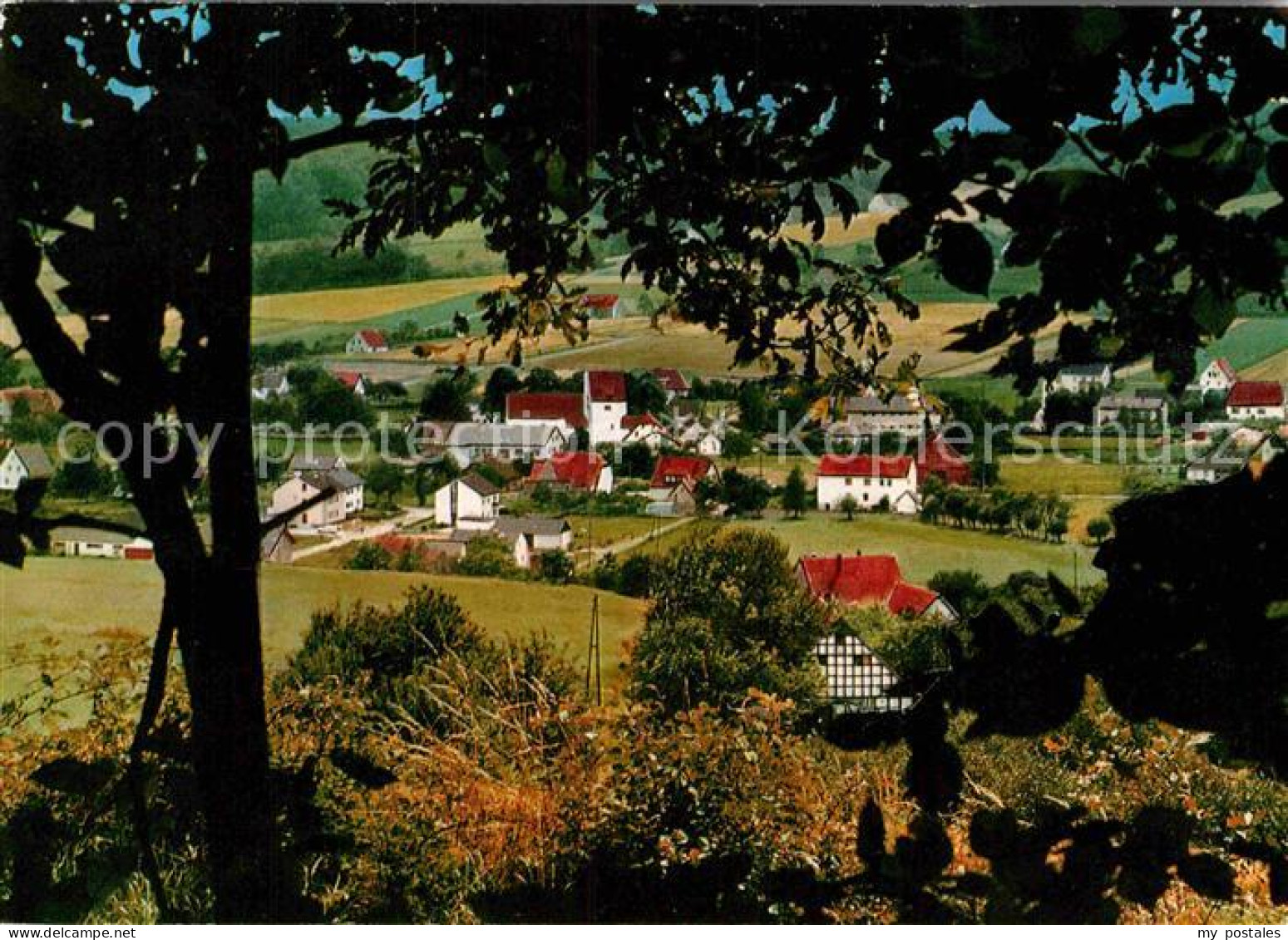 Boerninghausen Teilansicht