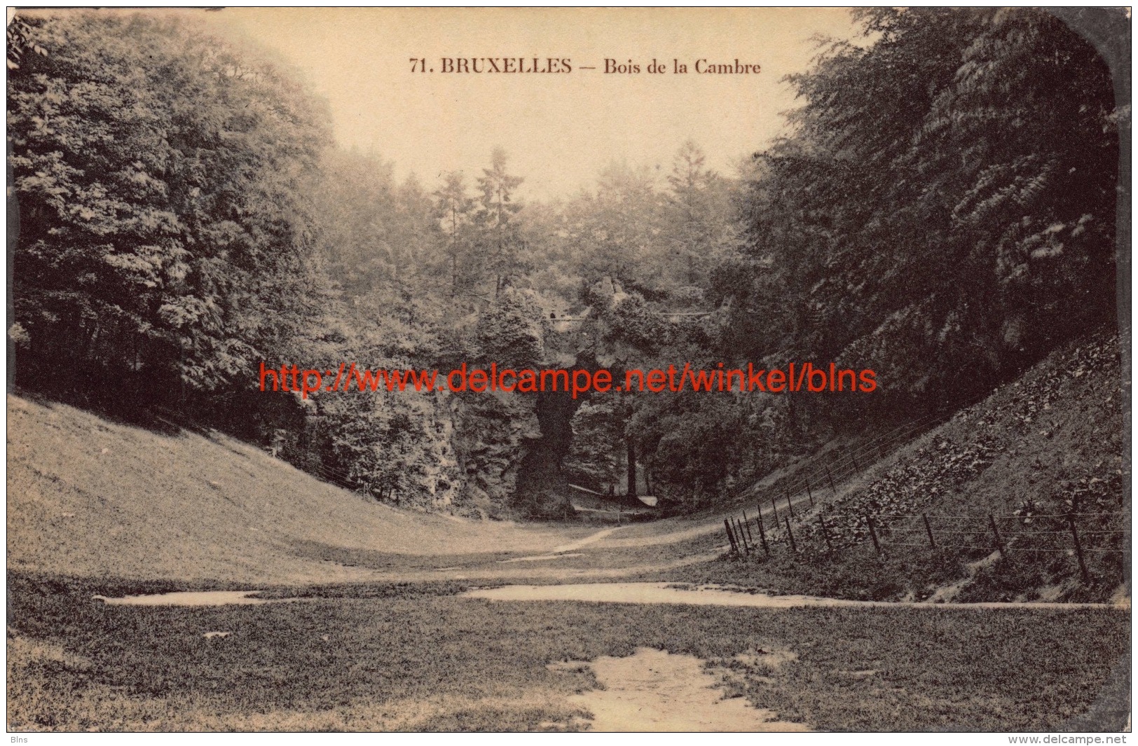 Bois de la Cambre - Brussel Bruxelles