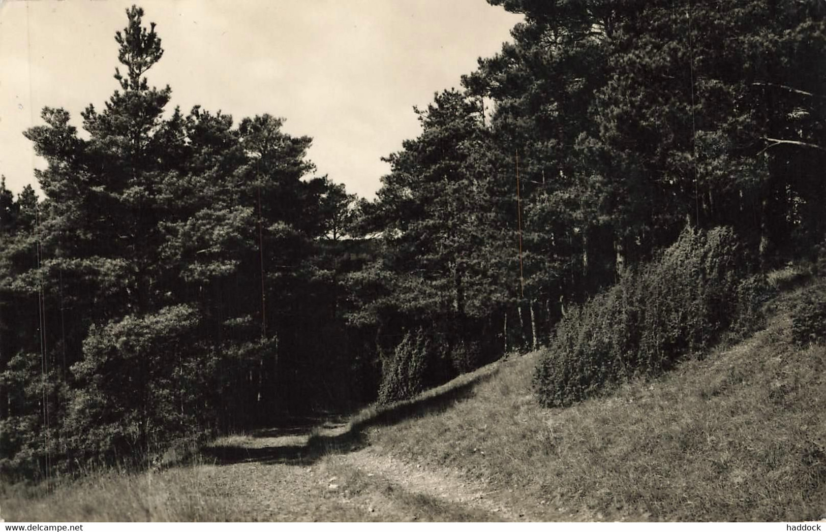 BOISSY LA RIVIERE : UN CHEMIN
