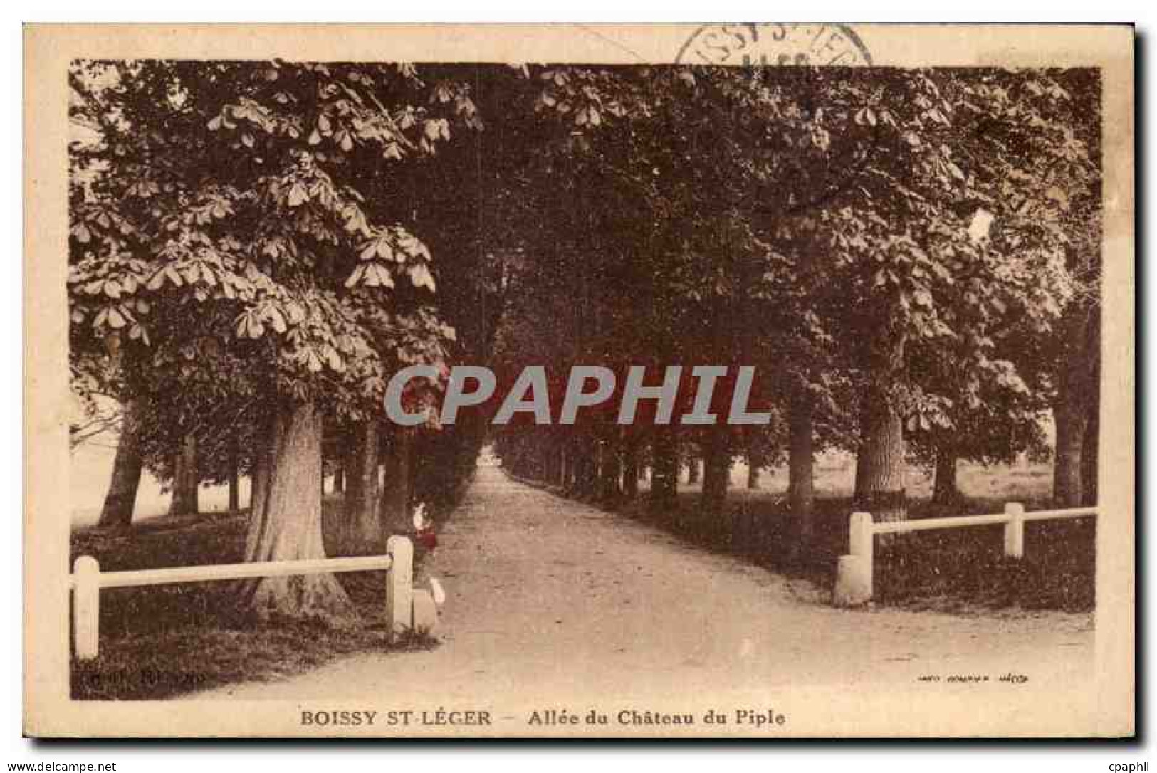 Boissy Saint Leger - Allee du Chateau du Piple - CPA