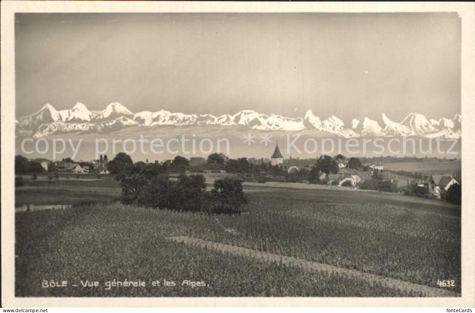 Bole Stadtansicht Alpen