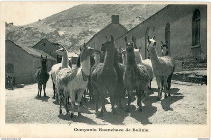 Bolivia Llamas in Town Huanchaca Company