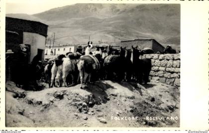 CPA Bolivien, Alpaka, Tiere