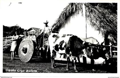 CPA Santa Cruz de la Sierra Bolivien, Bauern, Fuhrwerk, Kühe