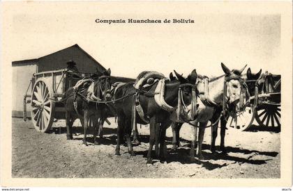 PC BOLIVIA, COMPANIA HUANCHACA DE BOLIVIA, Vintage Postcard (b60522)