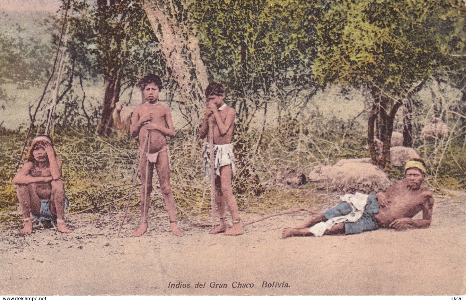 BOLIVIE(TYPE INDIEN)