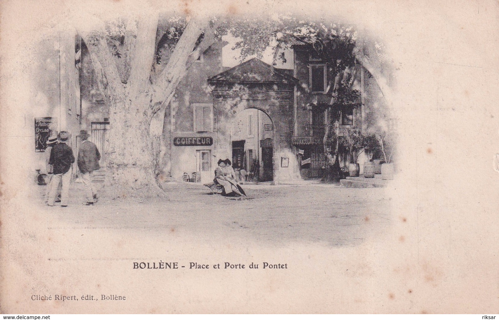BOLLENE(ARBRE)