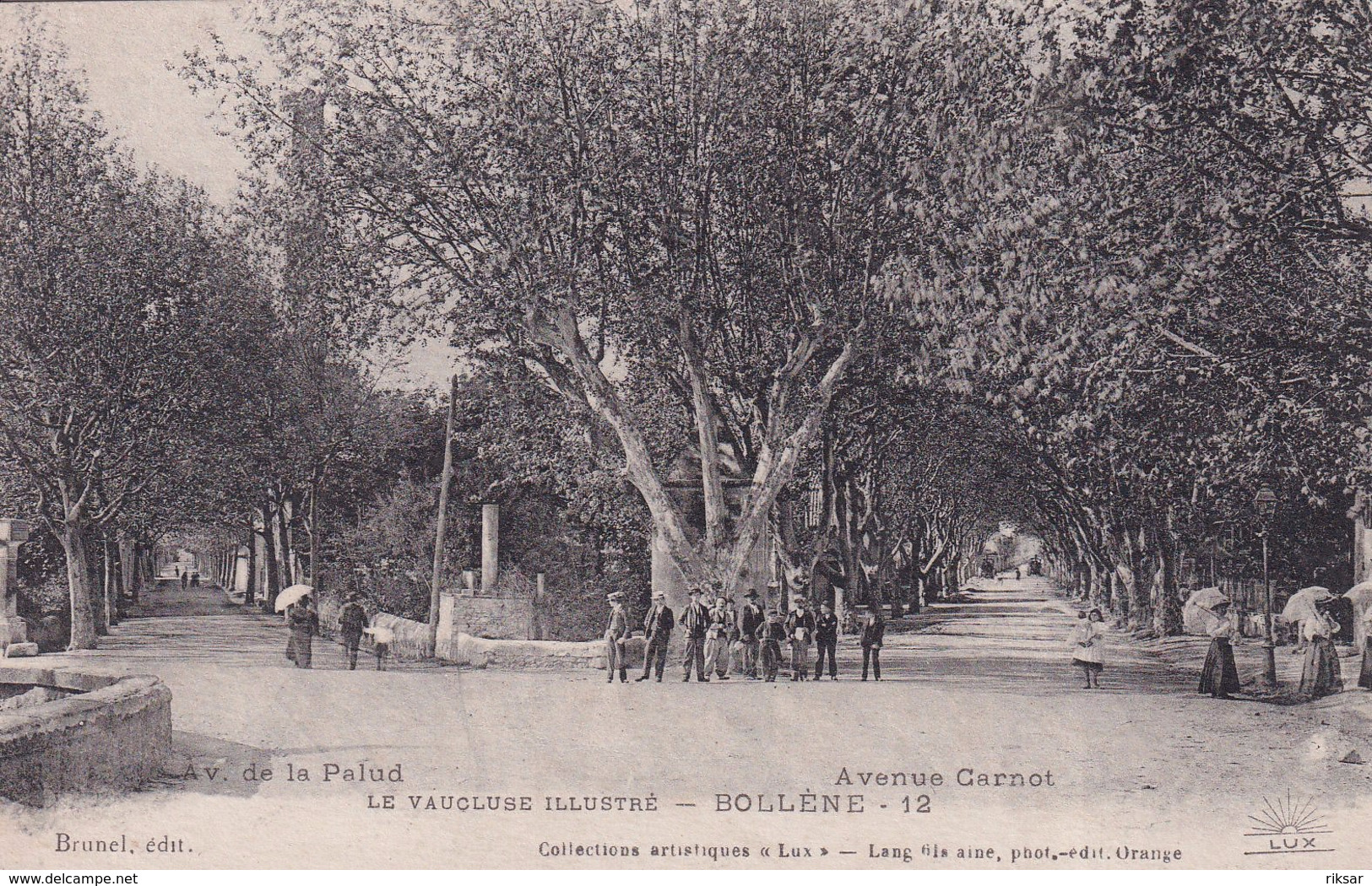 BOLLENE(ARBRE)