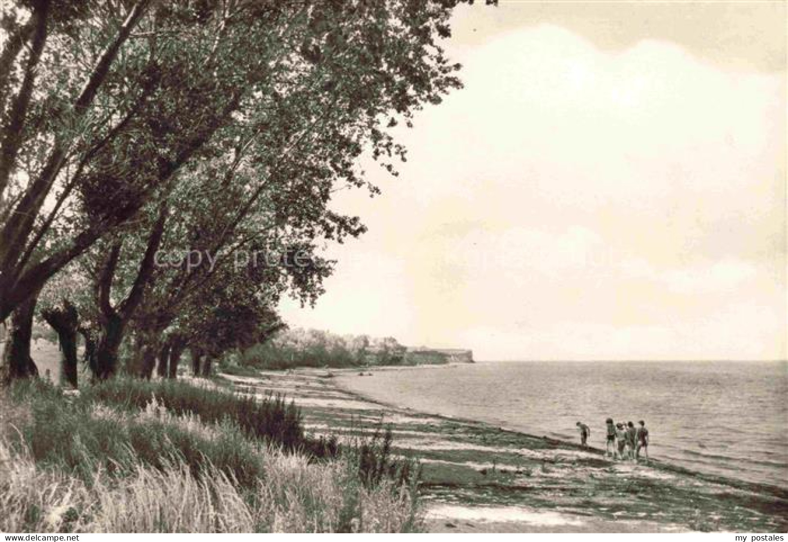 Boltenhagen Ostseebad Strand