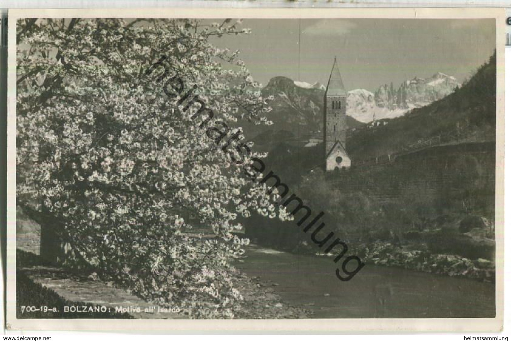 Bolzano - Motivo all Isarco - Foto-Ansichtskarte - Verlag Lor. Fränzl Bolzano