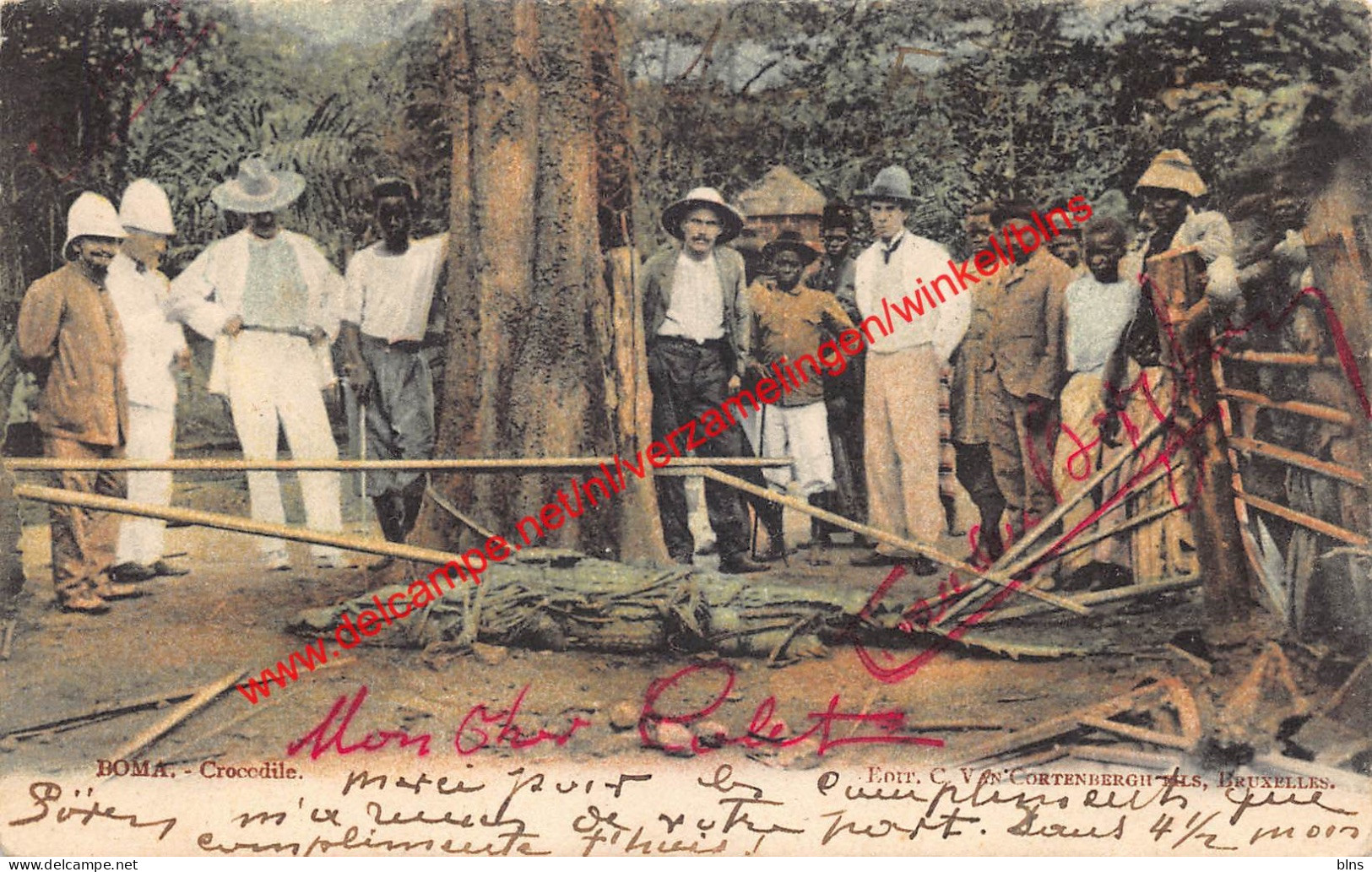 Boma - crocodile - Congo Belge Belgisch Kongo