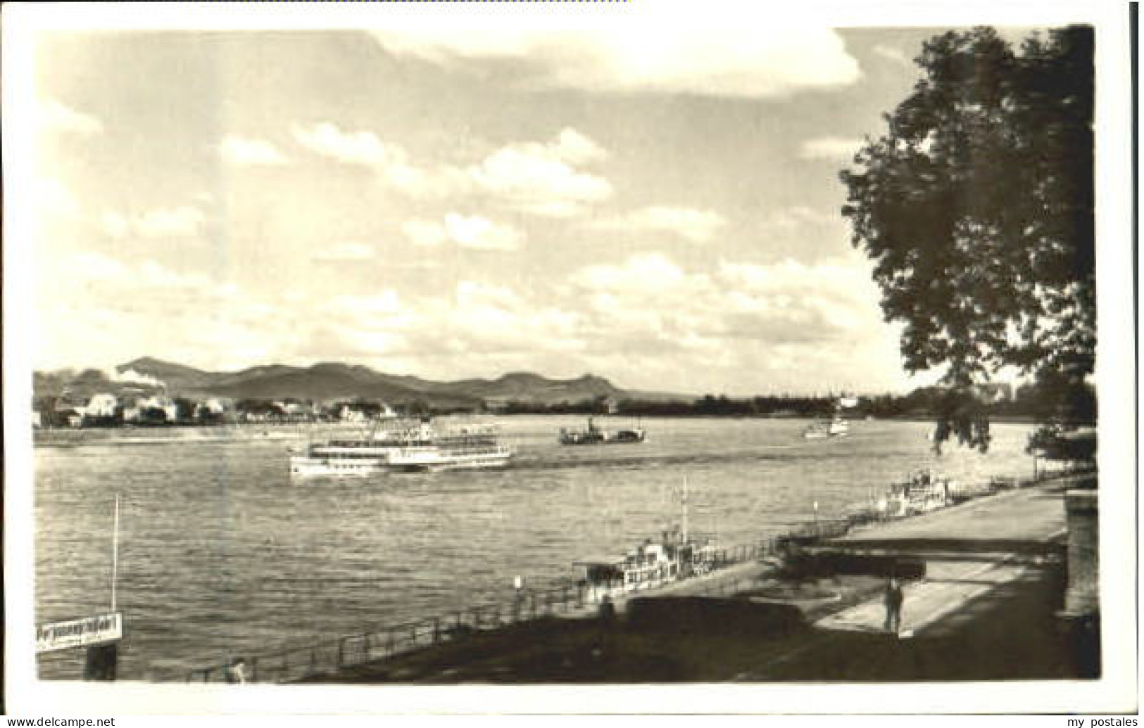 Bonn Rhein Bonn Dampfer