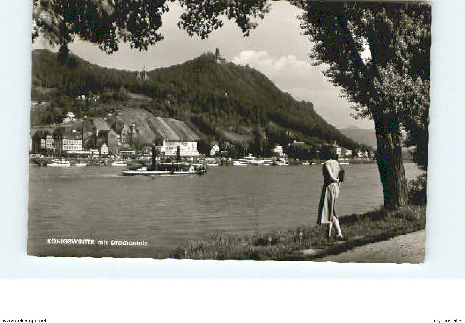 Bonn Rhein Bonn Koenigswinter