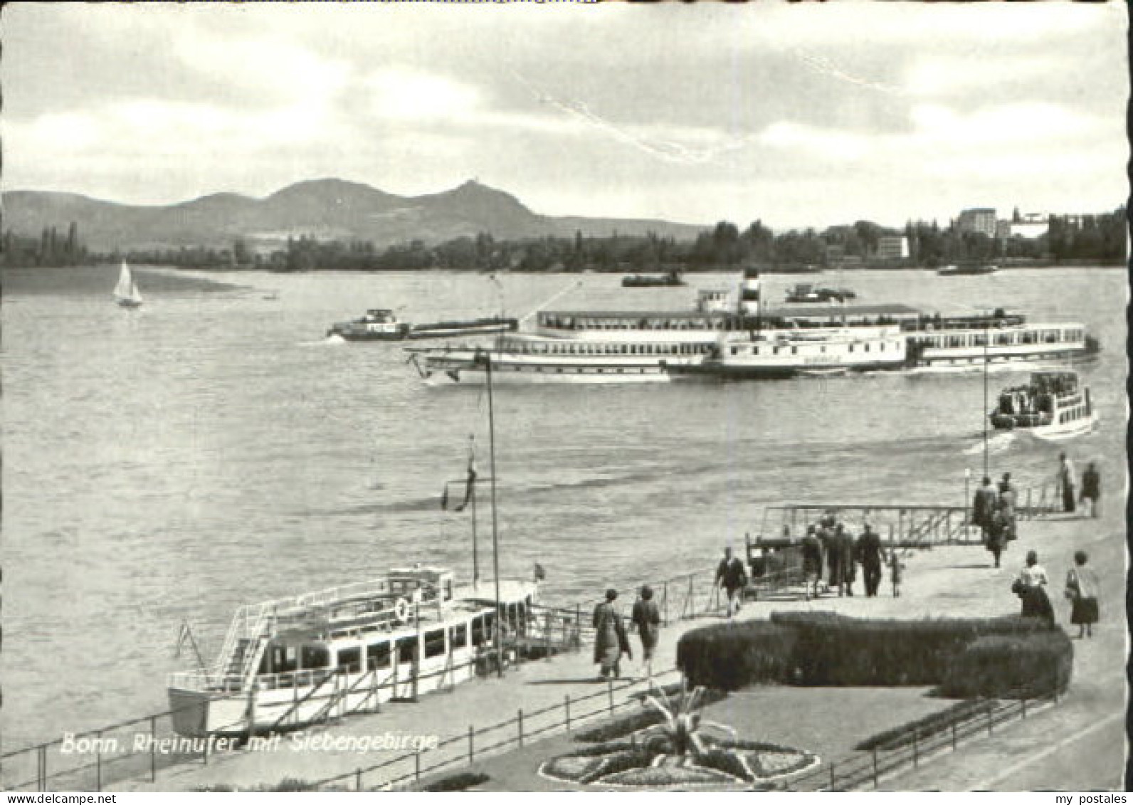 Bonn Rhein Bonn  o