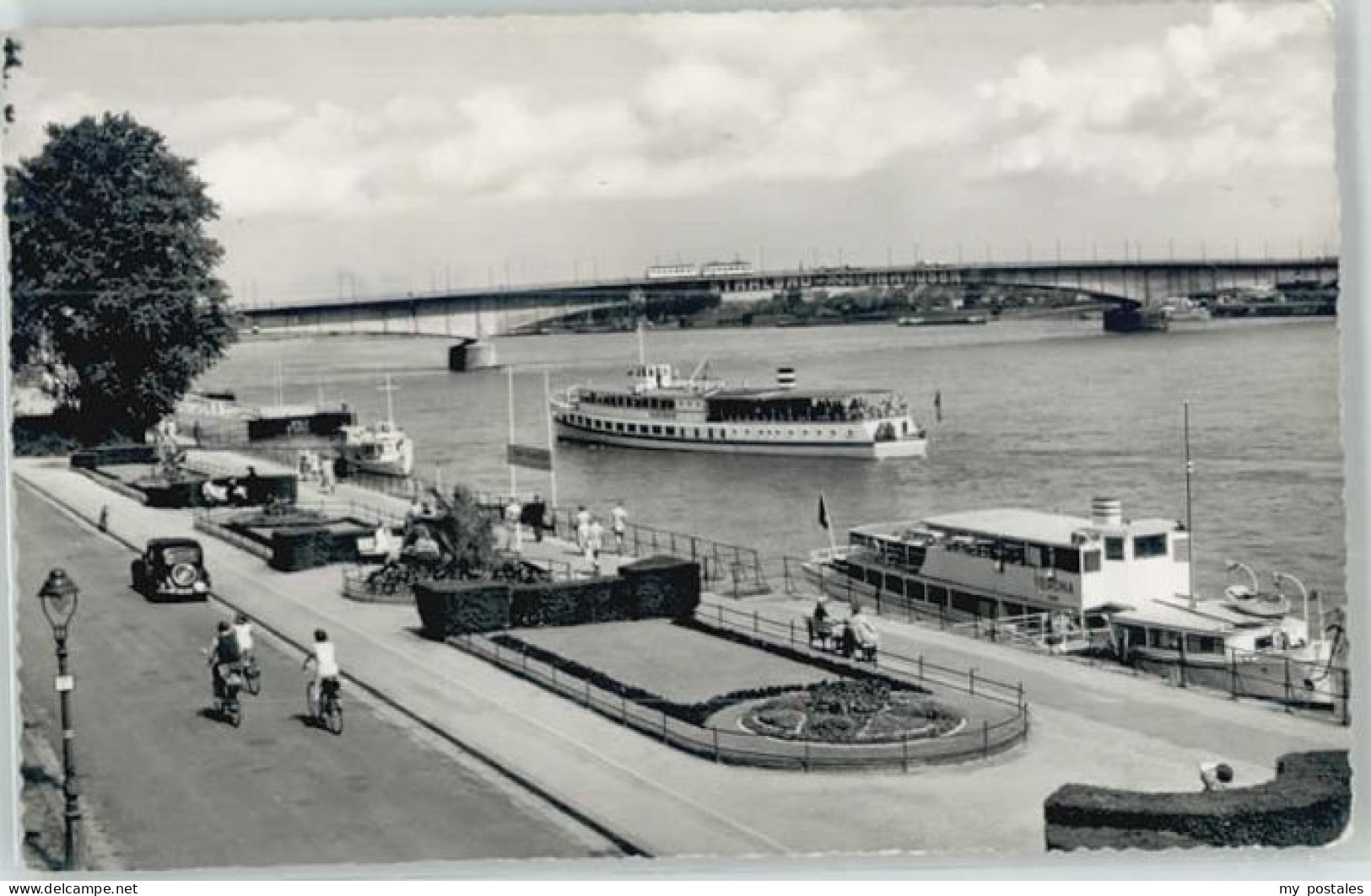 Bonn Rhein Bonn Rheinpromenade