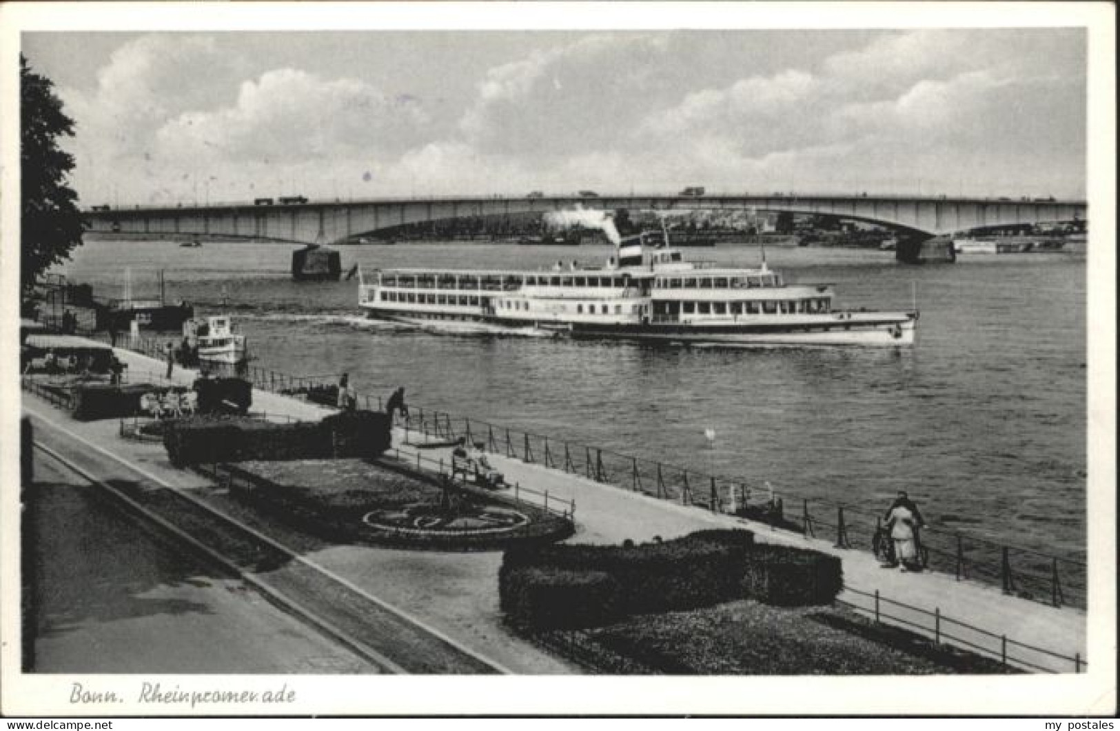 Bonn Rhein Bonn Rheinpromenade Dampfer