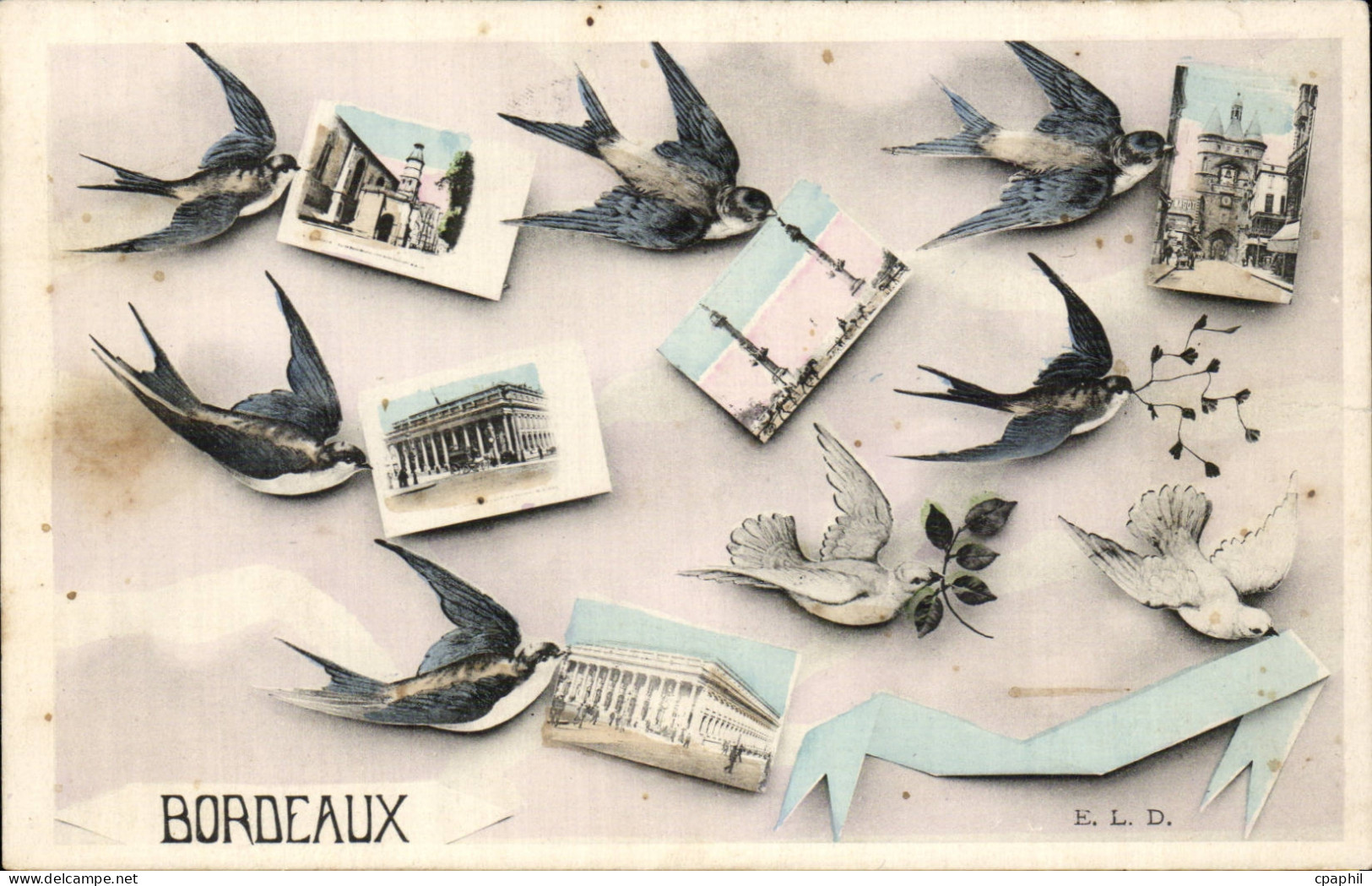 Bordeaux CPA Hirondelles