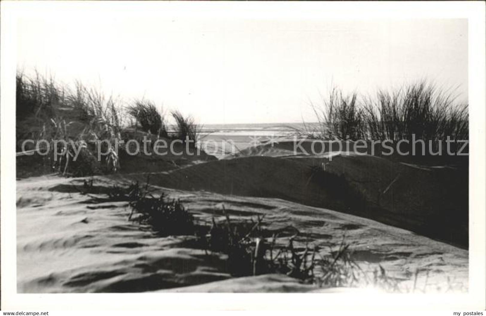 Borkum