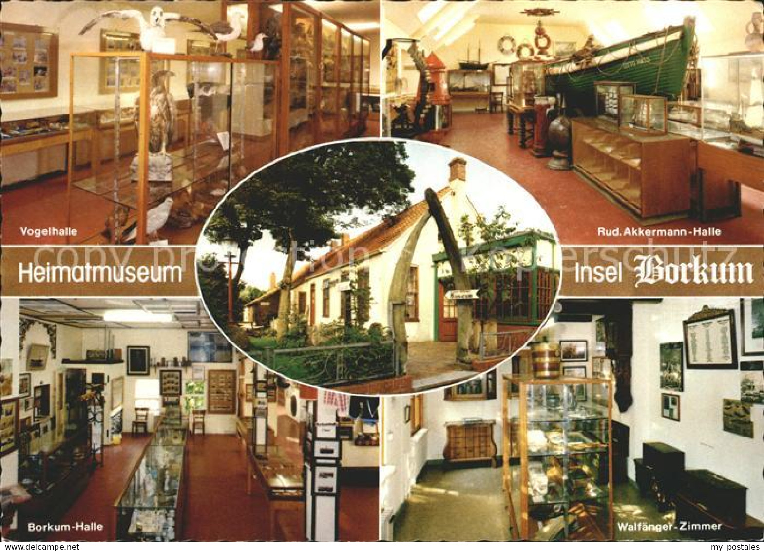 BORKUM Nordseebad Niedersachsen Heimatmuseum Vogelhalle Walfaenger Zimmer Borkum