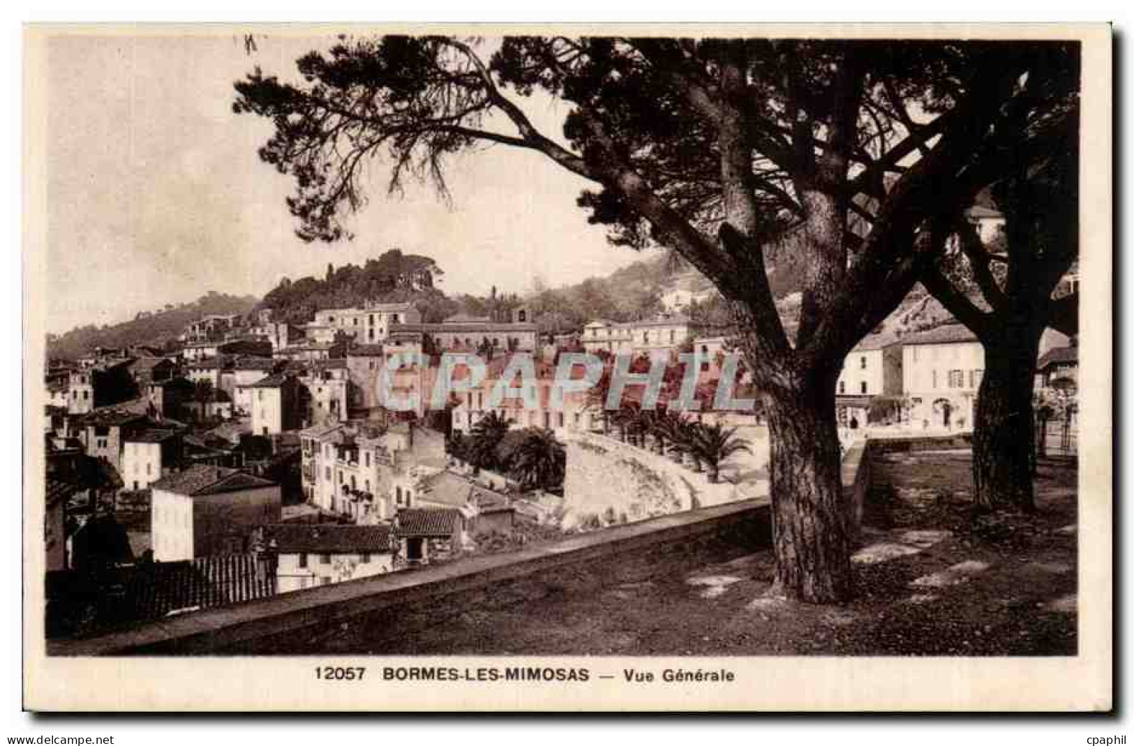Bormes les Mimosas CPA Vue generale
