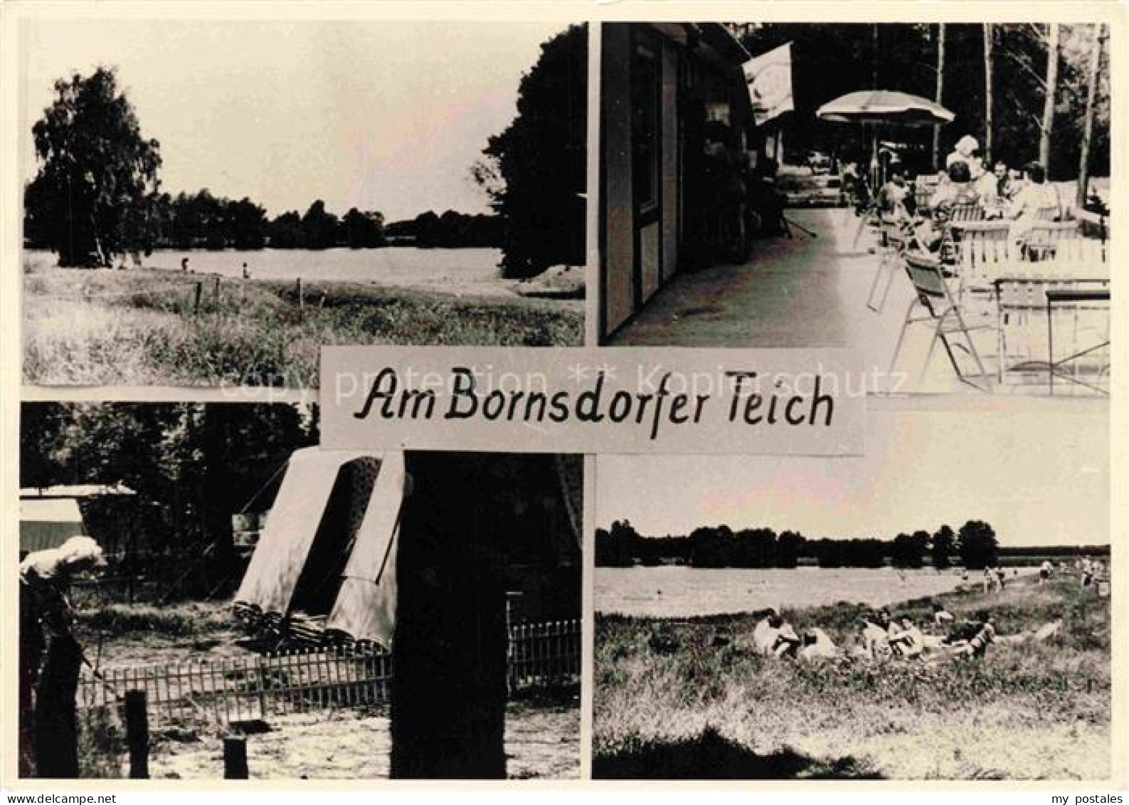 Bornsdorfer Teich  Bornsdorf Heideblick Brandenburg Teilansichten Strand Terrass