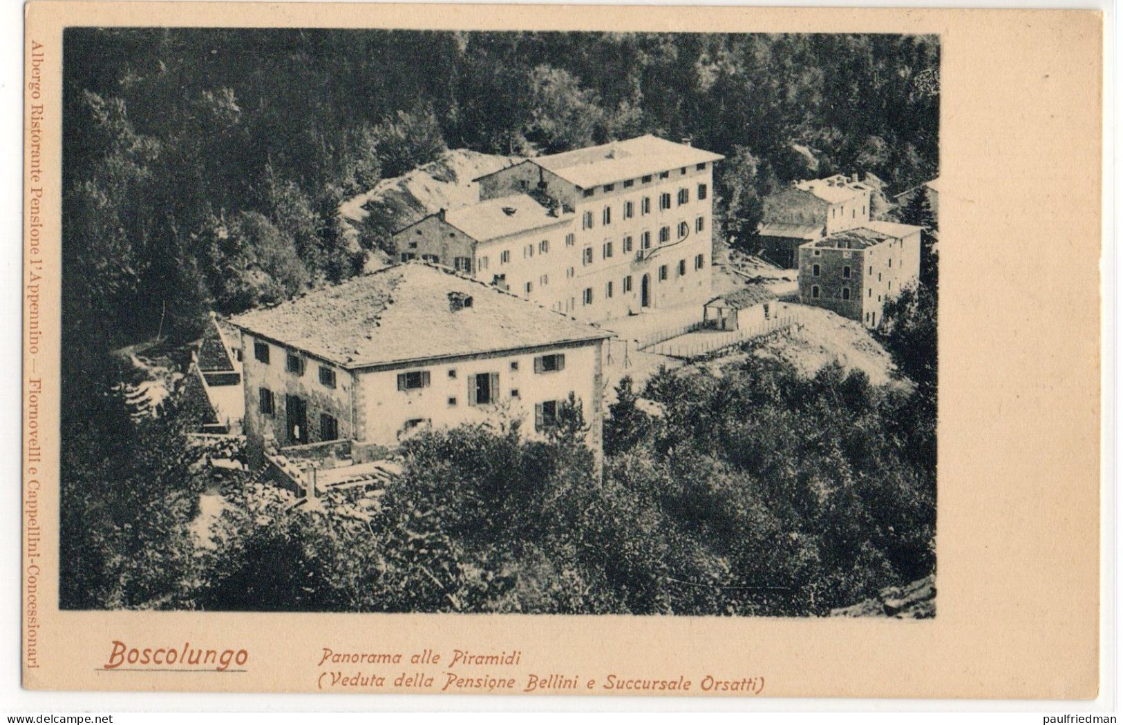 Boscolungo - Abetone - Panorama delle Piramidi (Veduta della Pensione Bellini e Succursale Orsatti) - Non viaggiata