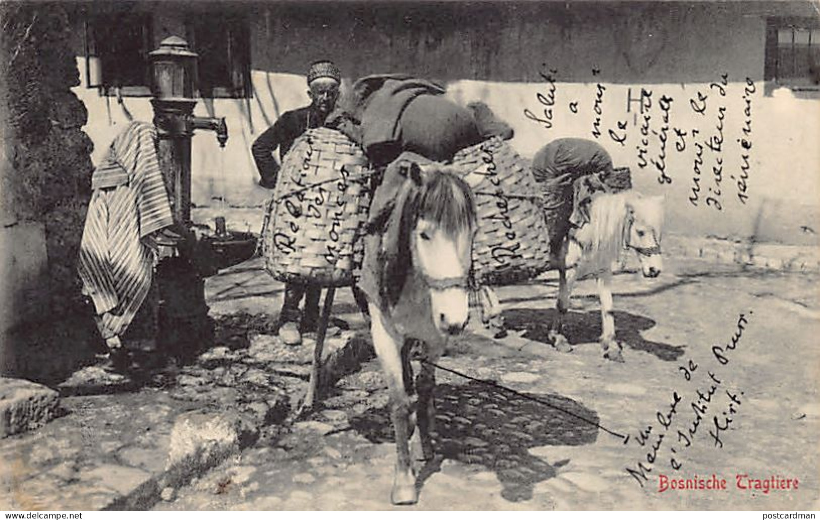 Bosnia - Bosnian pack animals - Publ. Albert Thier - Year 1909