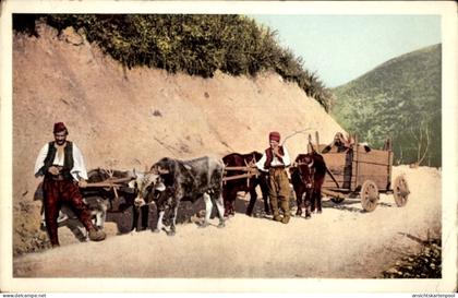 CPA Bosnien Herzegowina, Bosnischer Bauernwagen, Rinderfuhrwerk